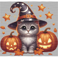 Halloween-WS 5791
